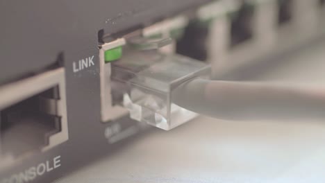 Network-link-light-flashing--signals-data-transfer