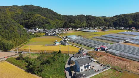 flying-over-farmland-and-a-small-village-with-greenhouses-in-japanese-countryside