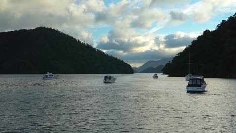 Anchored-boats-in-bay-in-Marlborough-Sounds,-New-Zealand