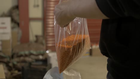 Filling-plastic-transparent-bag-with-lentils-in-warehouse