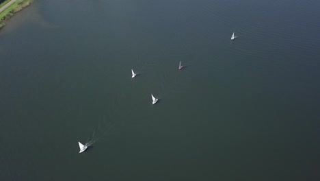 Aerial-footage-of-the-sailboats-on-the-lake-in-Europe-Holland