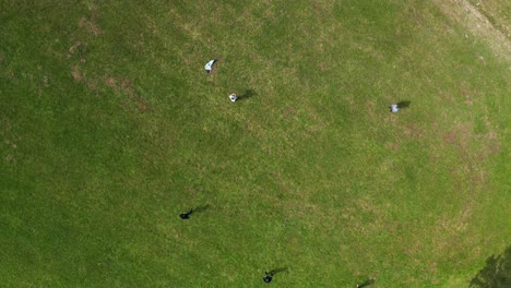 aerial-view-group-of-people-playing-frisbee-with-eatch-other-outdoor-acitivty
