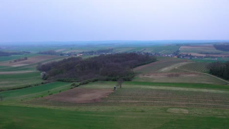 Fliegen-über-Einer-Ländlichen-Landschaft-Mit-Hügeln-Und-Bebauten-Feldern-In-Landwirtschaftlicher-Umgebung
