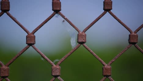 Cobweb-on-a-brown-Fence-at-the-lake-Balaton,-Hungary,-Europe
Recorded-with-a-Canon-6d-2