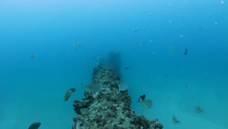 Following-an-underwater-pipeline-while-scuba-diving-in-the-ocean