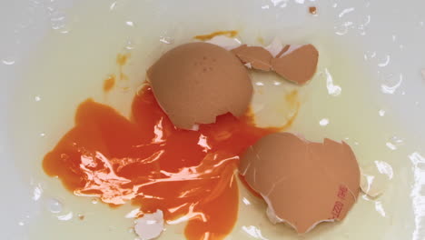 Raw-egg-dropped-and-splashed-cracked-close-up-explosion