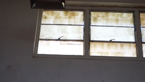 Pan-shot-of-windows-in-old-buildings