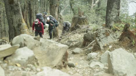 Los-Excursionistas-Van-Por-El-Sendero-En-Las-Montañas-Del-Himalaya