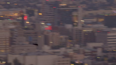 Crow-flying-above-blurry-Los-Angeles-on-the-background
