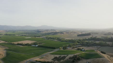 Aerial-shot-looking-at-vineyards-in-the-heart-of-Marlborough,-covered-in-Sauvignon-Blanc