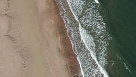 Birds-flying-over-waves-at-the-beach---aerial-forward-movement