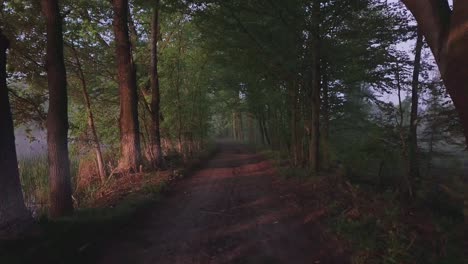 Dolly-shot-inside-a-forest,-of-a-trail-leading-into-the-middle-of-the-frame-at-sunrise-in-Poland