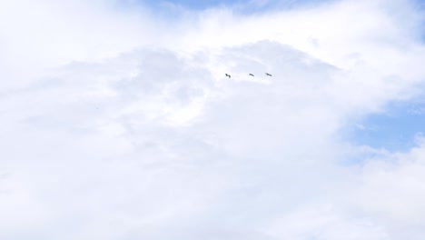 Egrets-flying-over-Inle-Lake,-Myanmar