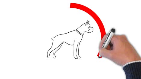 „Keine-Haustiere“-Schild,-Handgezeichnet-Auf-Der-Weißen-Tafel