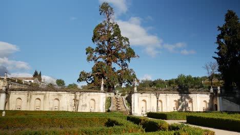 Sideways-shot-of-a-baroque-garden,-with-a-big-redwood-at-the-bottom-of-the-shot