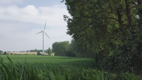Windmühlenenergie-In-Der-Landschaft,-Windkraft,-Windenergie,-Landwirtschaftliches-Maisfeld,-Landwirtschaftsszene,-Erntesaison,-Schönheit-Der-Landschaft