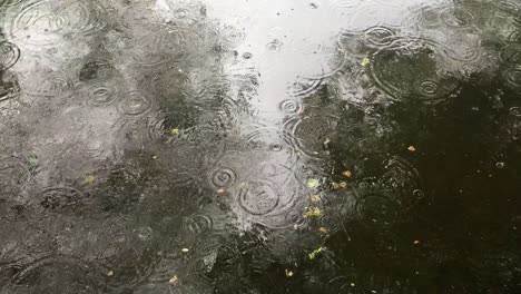 Regentropfen-Auf-Wasser-Mit-Nassen-Blättern