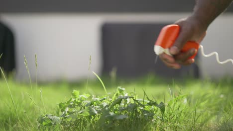 Shallow-depth-of-field-shot-of-a-Black-male-gardener-spraying-Weed-killer-on-weeds-in-his-garden-in-Spring