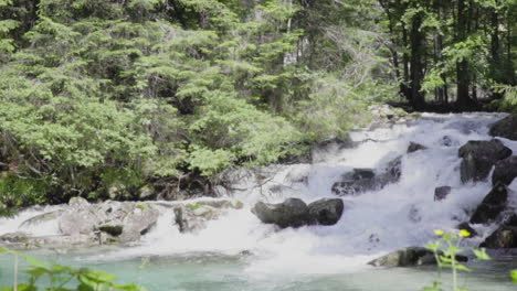 Mountain-stream-with-crystal-water-in-the-wood-of-the-italian-Alps-in-summer,-slow-motion-100-fps