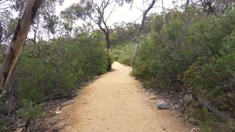 Walking-down-path-through-Australian-outback-wilderness