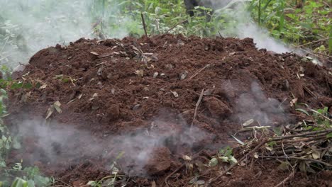 A-mound-of-soil-is-smoking-while-charcoal-is-being-made-in-rural-Africa