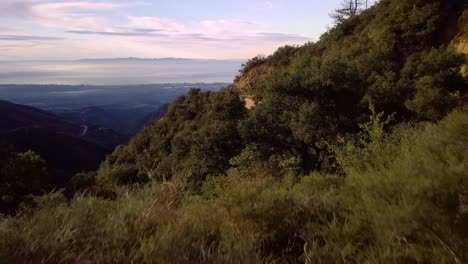 Bosque-Verde-Montañoso-Sobre-La-Niebla-De-Santa-Barbara-Al-Amanecer,-Drone-Revela