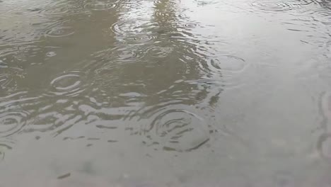 Slow-motion-of-rain-drops-falling-in-a-mud-puddle