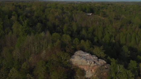 Felsen-Inmitten-Einer-Natürlichen-Waldlandschaft,-Dolly-4k