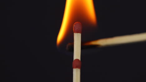 Slow-ignition-of-ignition-of-two-matches-close-up-macro-shot-captured-from-the-left-side-on-the-black-background-in-slow-motion-at-120-fps