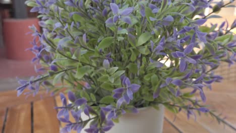 Eine-Topfpflanze-Mit-Violetten-Blüten-Wurde-Vergrößert