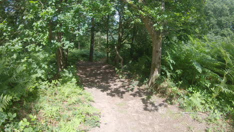 First-person-view-of-a-walk-down-a-woodland-path-in-a-leafy-green-forest,-in-the-summer-time