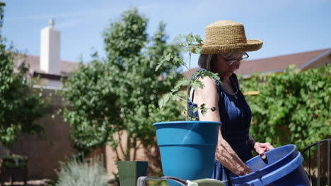 A-woman-gardener-scooping-potting-soil-and-organic-fertilizer-with-a-hand-trowel-into-a-pot-for-a-tomato-plant-in-slow-motion