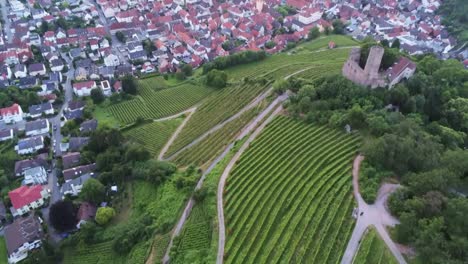 Panning-up-from-grape-vine-field-to-castle-Strahlenburg-in-Schriesheim-Germany