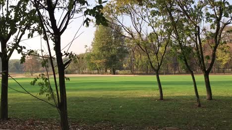 Scenic-view-of-golf-course-green-field-in-autumn