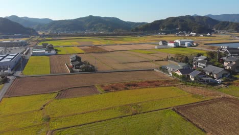 über-Eine-Kleinstadt-Und-Ihre-Felder-In-Japan-Fliegen