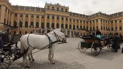 Horse-carriage-for-tourists-in-front-of-the-Schönbrunn-Palace,-Vienna,-on-a-partly-cloudy-day