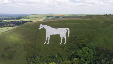 Luftaufnahme-Des-Westbury-White-Horse-Gegen-Den-Uhrzeigersinn-An-Einem-Sommertag-Mit-Wanderern,-Die-Um-Den-Umfang-Des-Pferdes-Herumlaufen