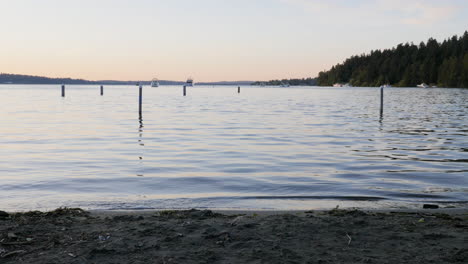 Handheld-shot-of-peaceful-Seward-Park-lake-shore-in-Seattle-at-sunset