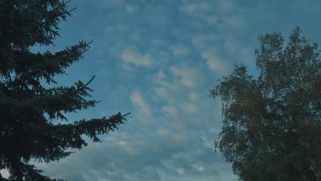Nubes-Como-Un-Lapso-De-Tiempo-Con-árboles-Antes-De-La-Noche