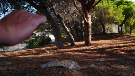 Locked-shot-of-a-hand-throwing-a-cigarette-to-the-ground-in-a-pine-trees-forest
