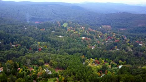Drone-footage-over-autumn-trees-in-Mount-Macedon,-Victoria,-Australia