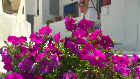 Left-moving-slider-over-vibrant-purple-flowers-with-girl-in-white-summer-dress-walking-in-background-in-typical-greek-alley