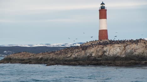 Medium-view-from-boat-of-cormorants-on-Les-Eclaireurs-Lighthouse-and-island