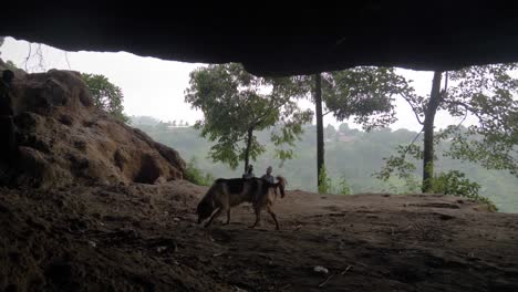 Shot-from-within-a-cave-on-a-mountain-pass-in-rural-Africa,-looking-out-to-a-lush-valley-while-two-African-men-and-a-dog-walk-into-the-cave