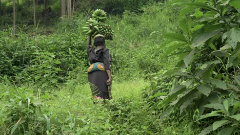 African-lady-walking-up-a-steep-hill-in-a-lush-rural-valley-while-carrying-bananas-on-her-head