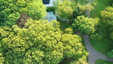 aerial-top-down-view-over-the-green-trees,-looking-down-on-a-playground-below-on-a-sunny-afternoon