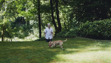 Cute-dog-plays-with-older-man-chasing-ball,-trees,-grass,-sun-shrubs