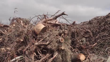 Pile-of-wood,-waste-wood-recycling,-sustainability