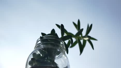 Eine-Große-Jadepflanze-In-Einer-Verzierten-Einmachglasvase,-Die-Auf-Einer-Fensterbank-Steht