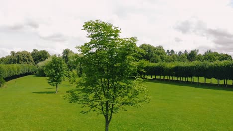 Aerial-shot-in-green-Park,-warmia-and-masuria-natural-place-with-green-grass-nad-tall-trees,-nice-clouds-on-the-sky